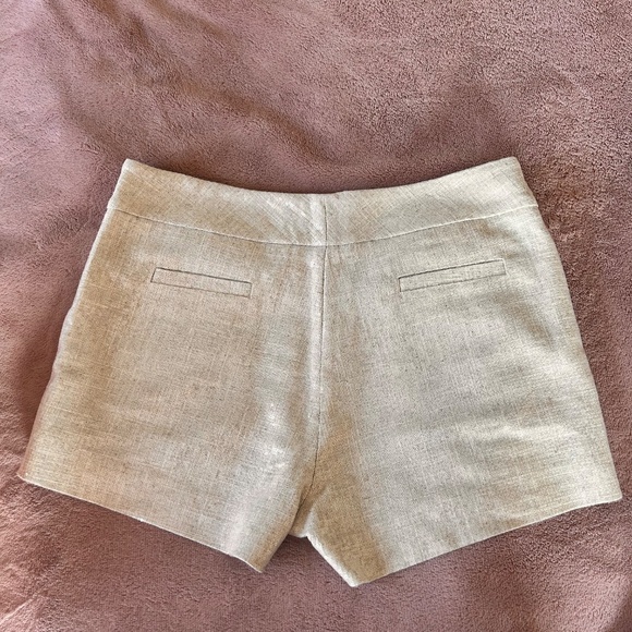 Michelle Farmer Sequin Shorts - Picture 3 of 4